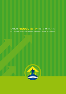 labor productivity determinants