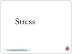Word Stress Assignment, Syntactic Category and Syllable Structure