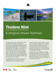 Summary - Ecological Values of the Proposed Thaidene Nëné