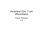 Peripheral CD4+ T cell differentiation