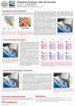 Lithospheric thickness under the Dinarides