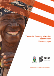 Tanzania: Country situation assessment Working paper