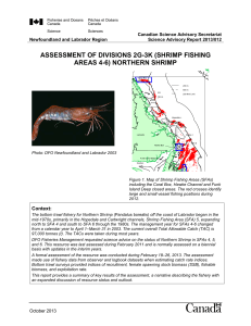 Assessment of Divisions 2G 3K (Shrimp Fishing Areas 4 6) Northern
