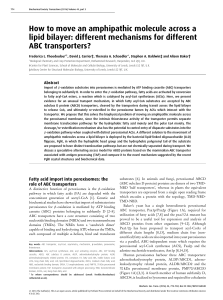 How to move an amphipathic molecule across a lipid