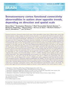 Somatosensory cortex functional connectivity