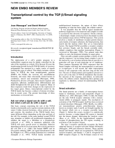 Transcriptional control by the TGF/Smad signaling system