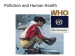Pollution and Human Health