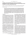 Synthesis, in Vitro Anti-Breast Cancer Activity, and Intracellular