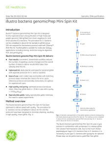 illustra bacteria genomicPrep Mini Spin Kit