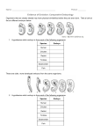 Evidence of Evolution: Comparative Embryology