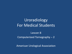 Uroradiology Computerized Tomography Part 2