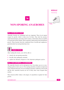 Lesson 36. Nonsporing Anaerobes