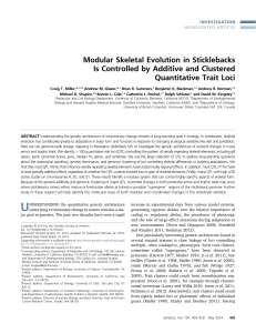 Modular Skeletal Evolution in Sticklebacks Is Controlled by Additive