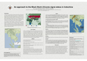 An approach to the Black Stork (Ciconia nigra) status in Indochina