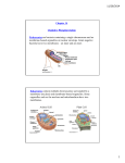 Chapter 14 Oxidative Phosphorylation Prokaryotes are bacteria