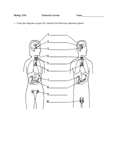 Endocrine work book