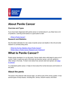 About and Key Statistics - American Cancer Society