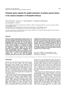 Homeotic genes regulate the spatial expression