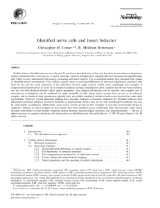 Identified nerve cells and insect behavior