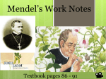 Mendel`s Work Notes