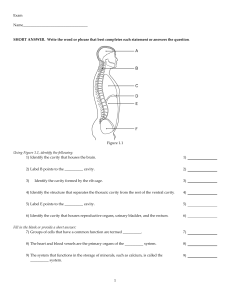 sample - Test Bank College