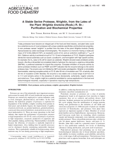 A Stable Serine Protease, Wrightin, from the Latex of the Plant