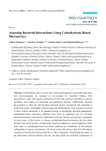 Assessing Bacterial Interactions Using Carbohydrate-Based