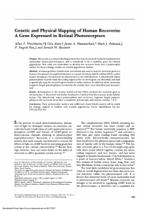 Genetic and physical mapping of human recoverin: a gene