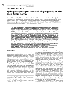 Hydrography shapes bacterial biogeography of the deep