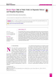 Role of Nitric Oxide on Dopamine Release and Morphine