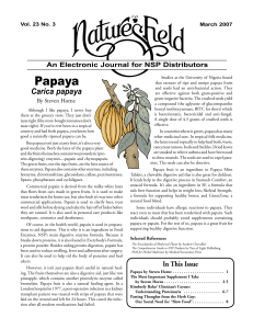 Papaya - Joyful Living Services