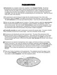 12. Paramecium Reading