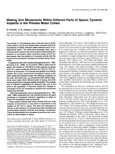 Making Arm Movements Within Different Parts of Space: Dynamic