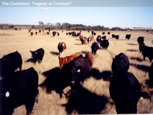 Tragedy and Comedy of the Commons