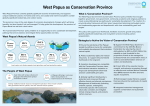 West Papua as Conservation Province