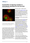 Composition of splicing complex in chloroplasts identified