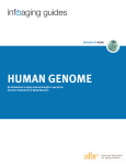 human genome - American Federation for Aging Research