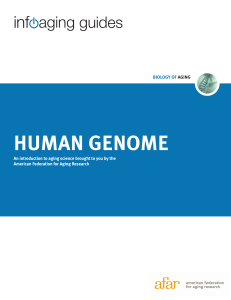 human genome - American Federation for Aging Research