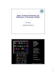 Repair of Broken Chromosomes and Maintenance of Chromosome