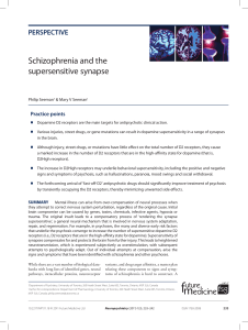 Schizophrenia and the supersensitive synapse