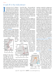 A real rift in the midcontinent - Carol A. Stein