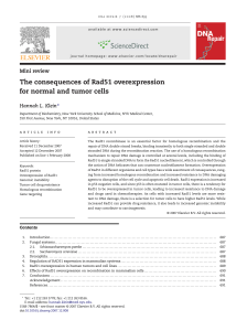The consequences of Rad51 overexpression for normal and tumor