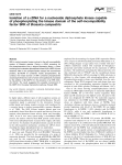 Isolation of a cDNA for a nucleoside diphosphate kinase capable of