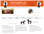 5104 EDU-092 Olympus Pre Visit Kit_Timeline_F.indd