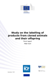 Study on the labelling of products from cloned animals and their