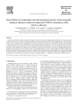 Microinfusion of nefazodone into the basolateral nucleus