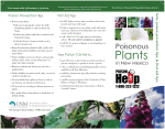 Poisonous Plants in New Mexico brochure