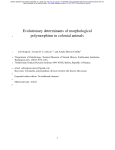 Evolutionary determinants of morphological polymorphism
