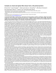 Complex air-structured optical fibre drawn from a 3D