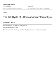 The Life Cycle of a Homosporous Pteridophyte